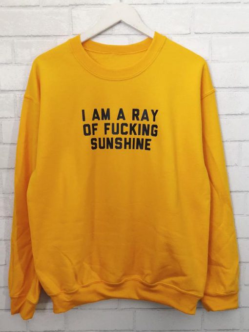I am a ray of fucking sunshine Sweatshirt