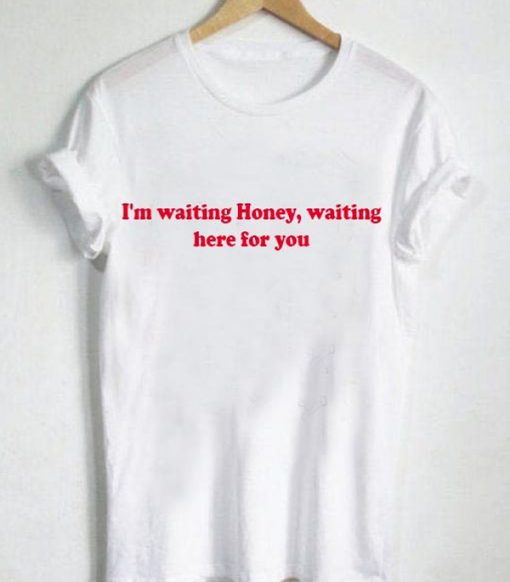 I'm waiting here for you honey T shirt