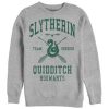 Harry Potter Slytherin Quidditch Team Seeker Sweatshirt