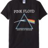 Pink Floyd Adult T-shirt